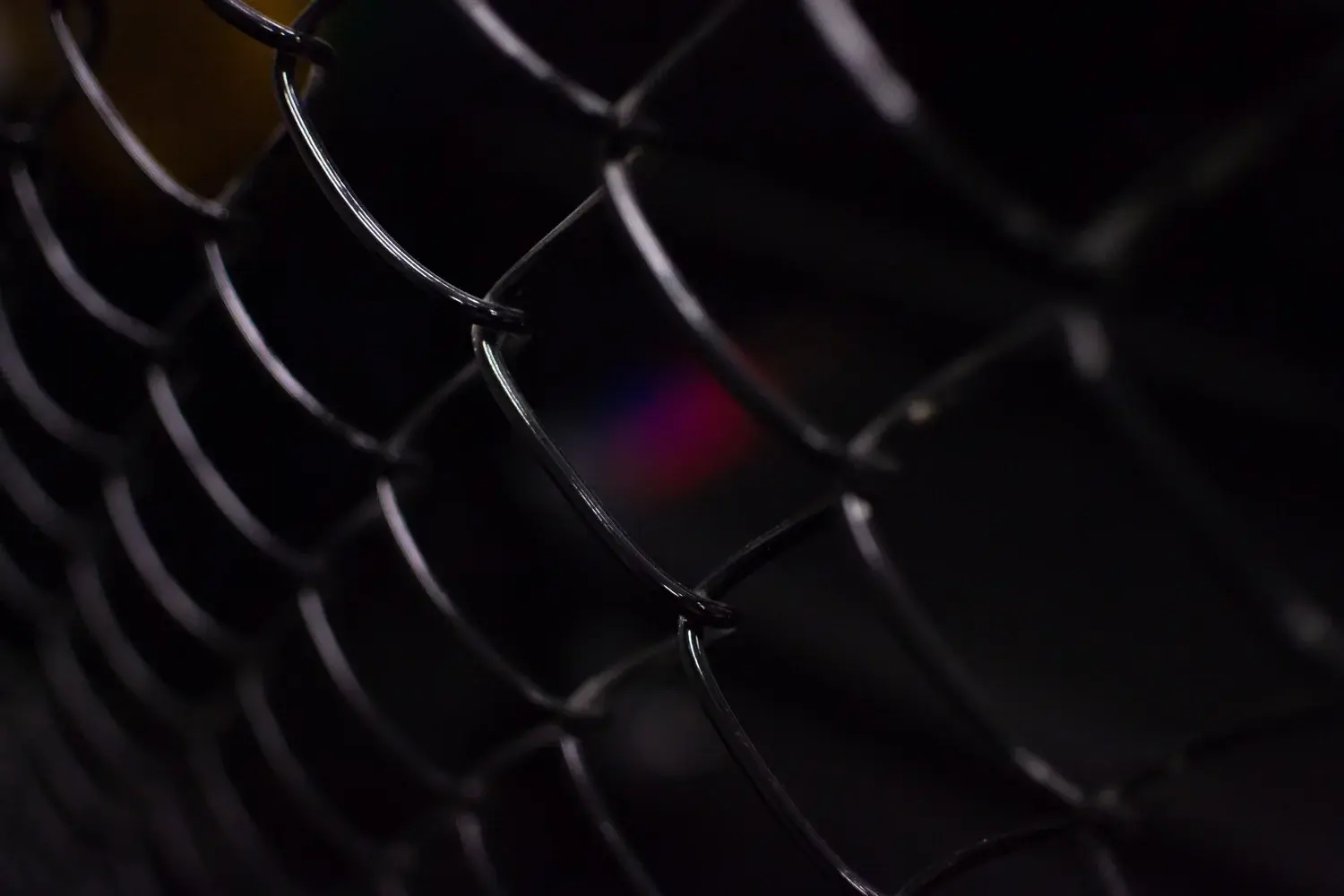 Drilich Combat Academy photo 7