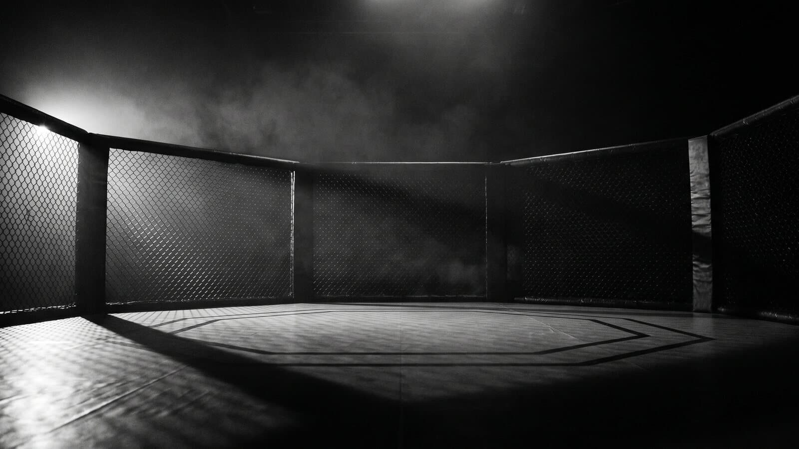 Domination MMA 14